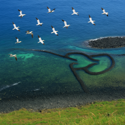 2/22墾丁自強活動ㄧ日遊 #精采照片 2/22墾丁自強活動ㄧ日遊 #精采照片